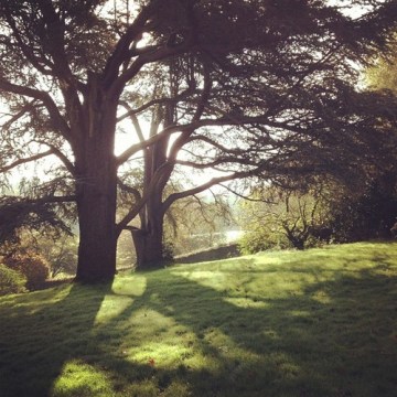 tumblr_mcq4k5HdM91qm3wglo1_500