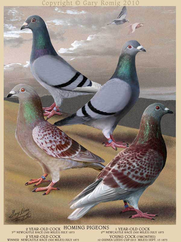 31f6505bbf5ac5166755d2719781bca3